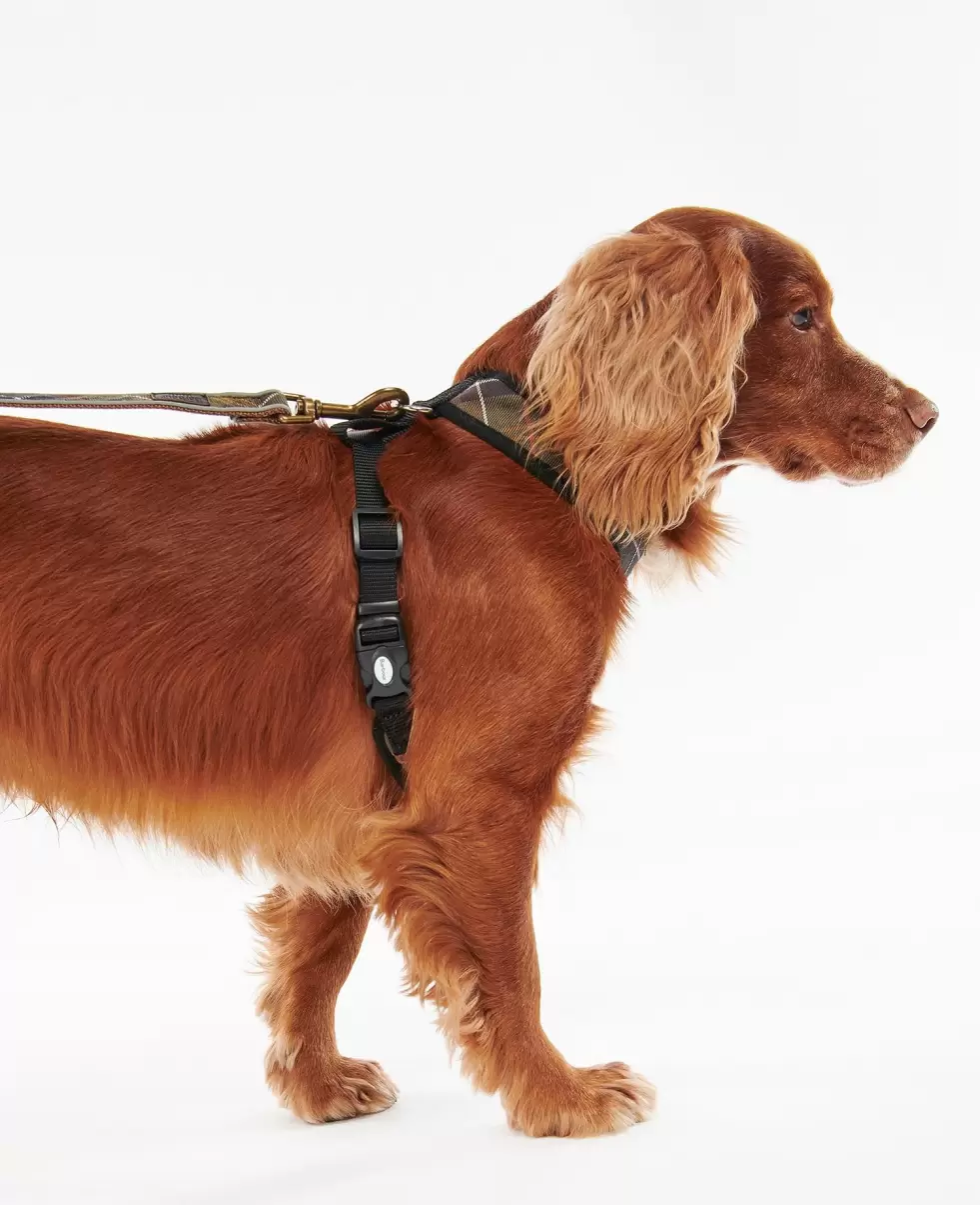 Accessories Collars & Harnesses Classic Tartan Buy Barbour Tartan Dog Harness - 3