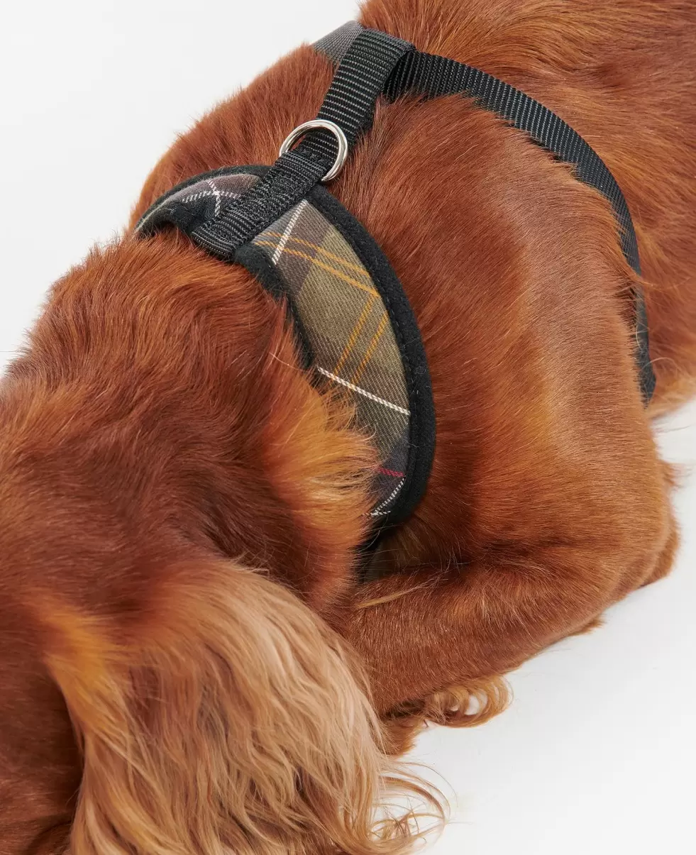 Accessories Collars & Harnesses Classic Tartan Buy Barbour Tartan Dog Harness - 4