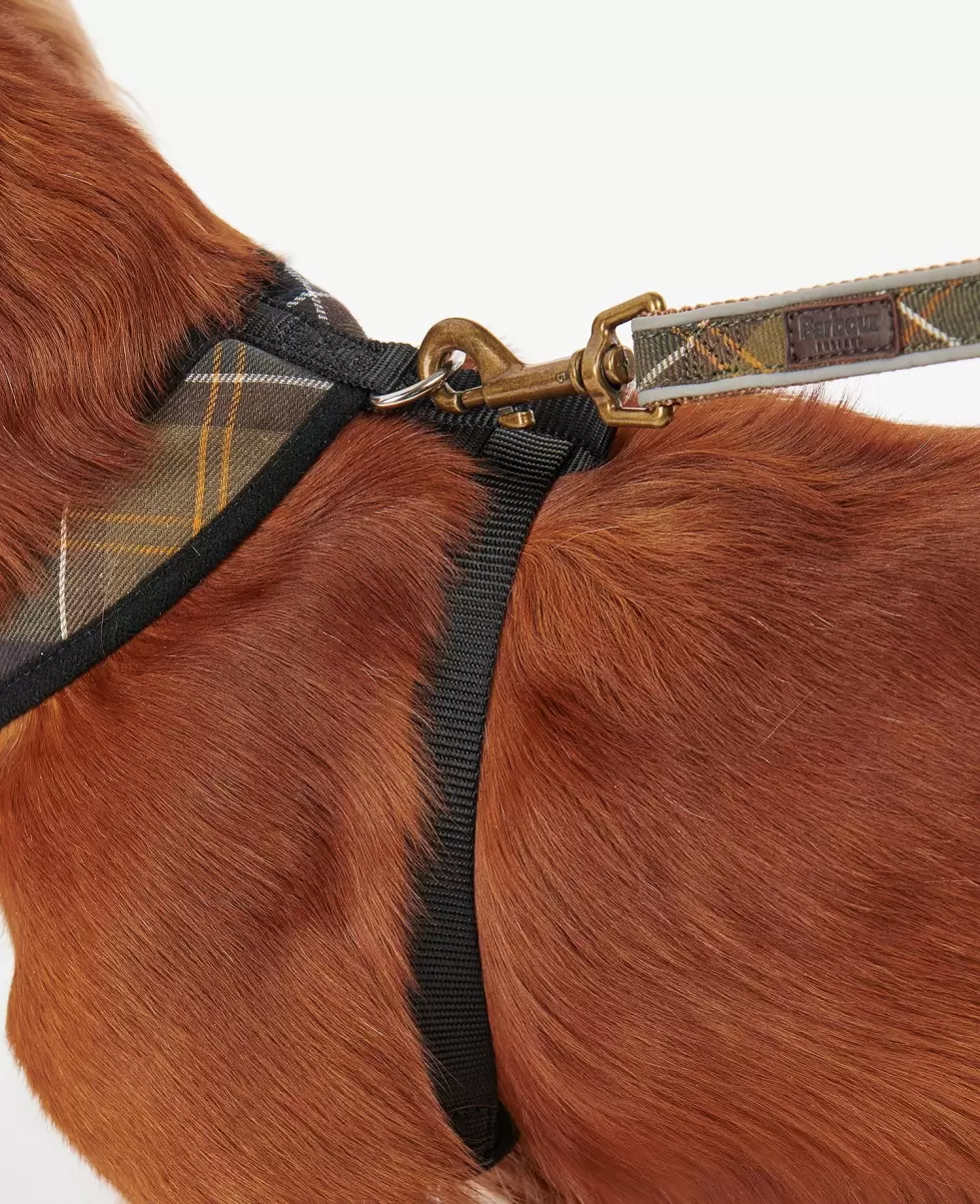 Accessories Collars & Harnesses Classic Tartan Buy Barbour Tartan Dog Harness - 5