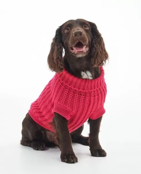 Accessories Refined Coats Barbour Saltburn Dog Jumper Pink