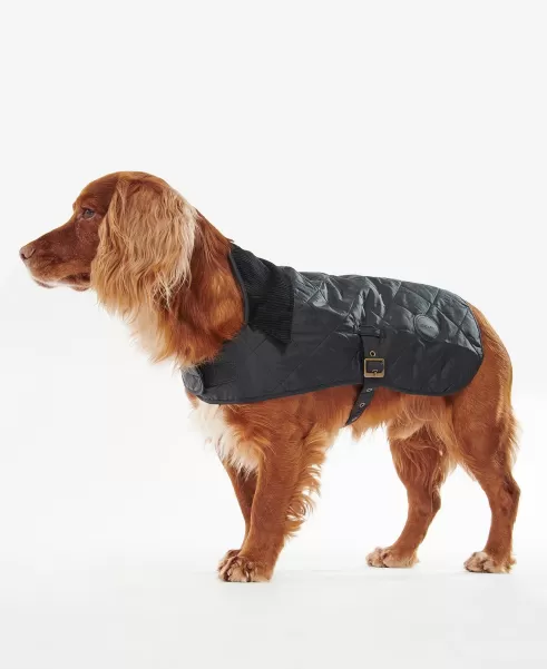Markdown Coats Accessories Barbour Quilted Dog Coat Navy