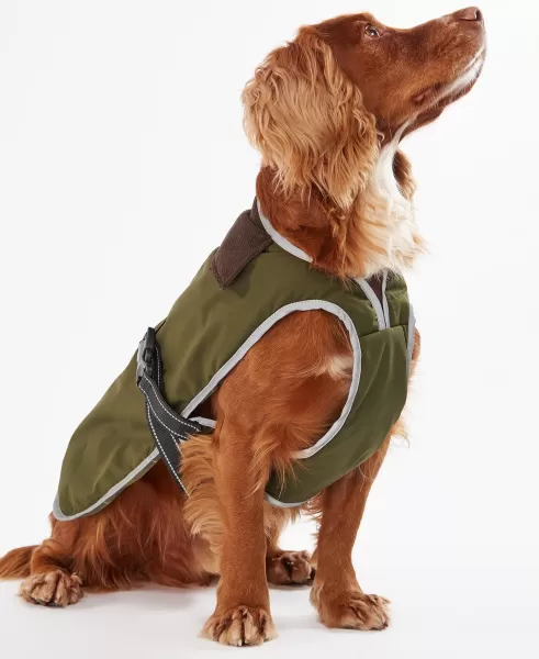 Distinctive Coats Accessories Barbour Monmouth Waterproof Dog Coat Olive