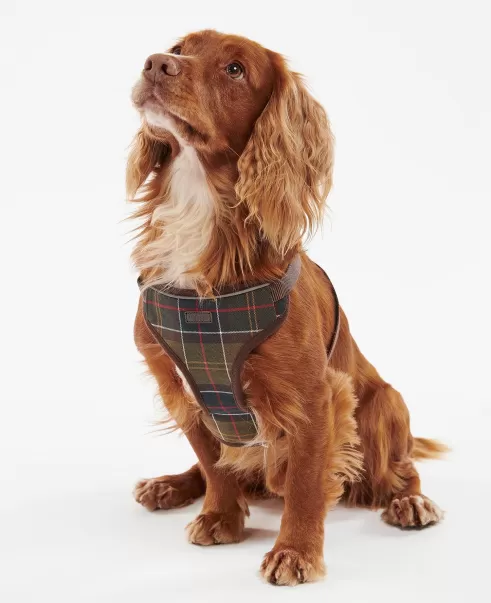 Collars & Harnesses New Accessories Barbour Travel And Exercise Harness Classic Tartan